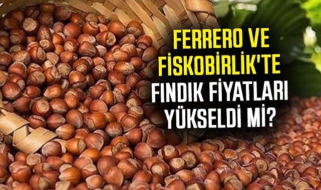 Ferrero ve Fiskobirlik'te fındık fiyatları yükseldi mi?