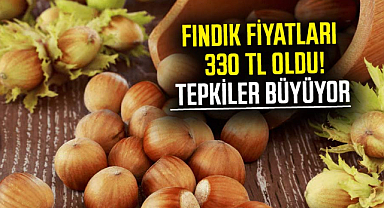 Fındık fiyatları 330 TL oldu! Tepkiler büyüyor