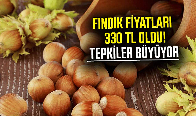 Fındık fiyatları 330 TL oldu! Tepkiler büyüyor