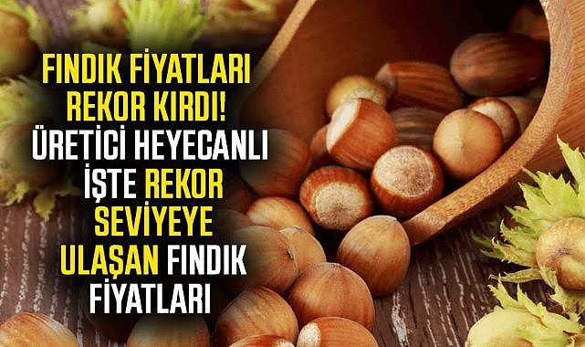 Fındık fiyatları rekor kırdı! Üretici heyecanlı işte rekor seviyeye ulaşan fındık fiyatları