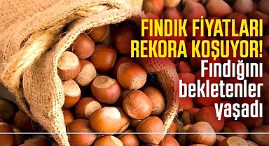 Fındık fiyatları rekora koşuyor! Fındığını bekletenler yaşadı