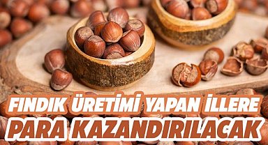 Fındık üretimi yapan illerde katma değer arttırılacak