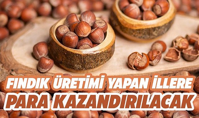 Fındık üretimi yapan illerde katma değer arttırılacak