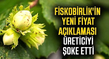 Fiskobirlik'in yeni fındık fiyatı açıklaması üreticiyi şok etti