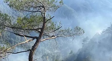 Hatay’da orman yangını! 23 saattir devam ediyor