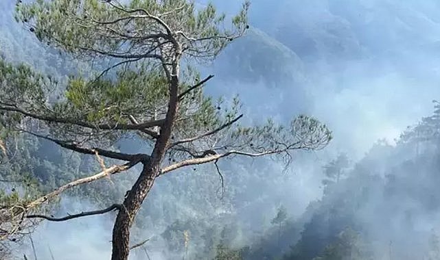 Hatay’da orman yangını! 23 saattir devam ediyor