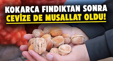 Kahverengi kokarca ceviz üreticilerini de vurdu!