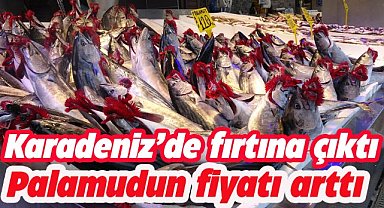 Karadeniz'de fırtına çıktı palamudun fiyatı arttı