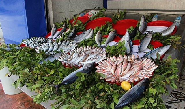 Karadeniz fırtınası balık fiyatlarını yükseltti