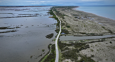 Kızılırmak Deltası Kuş Cenneti yağmurlarla canlandı