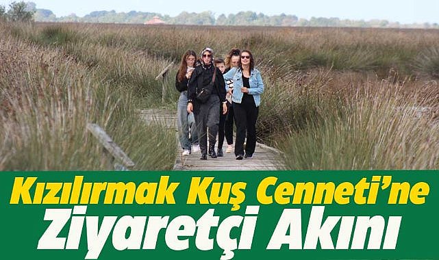 Kızılırmak Deltası Kuş Cenneti ziyaretçilerin ilgi odağı oldu