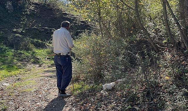 Komşusunun köpeklerini bıçakladı
