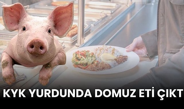 KYK Yurdunda domuz eti çıktı! Rosto Köftede tespit edildi