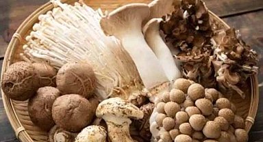 Mantar yerken dikkat! Bazıları için risk taşıyor