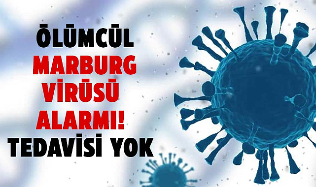 Marburg virüsü salgını alarma geçirdi