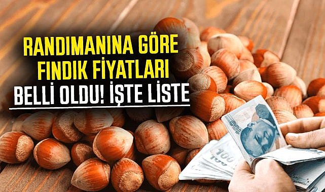 Randımanına göre fındık fiyatları belli oldu! İşte randımanına göre liste
