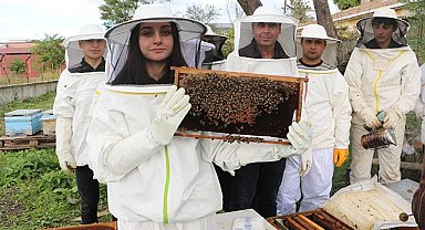 Samsun’a öğrenciler kendi arılarıyla bal üretiyor