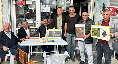 Samsun Ayvacık'ta Kahverengi Kokarcayla mücadele çağrısı