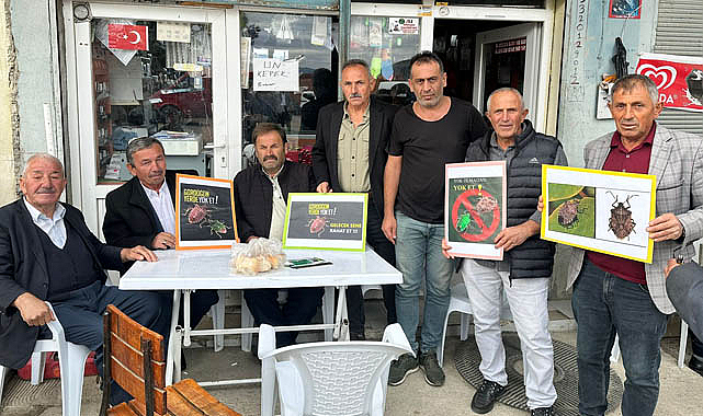 Samsun Ayvacık'ta Kahverengi Kokarcayla mücadele çağrısı