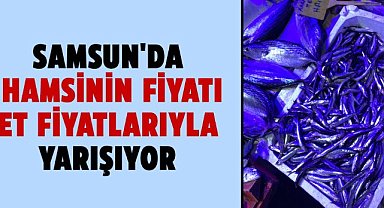 Samsun'da hamsinin fiyatı et fiyatlarıyla yarışıyor
