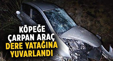 Samsun'da köpeğe çarpan araç dere yatağına yuvarlandı