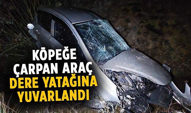 Samsun'da köpeğe çarpan araç dere yatağına yuvarlandı