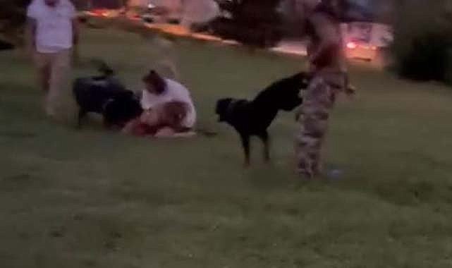 Samsun'da köpeğini kurtarmak için verdiği mücadele yürek dağladı