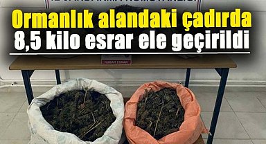 Samsun'da ormanlık alanda 8,5 kilo esrar ele geçirildi