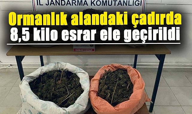 Samsun'da ormanlık alanda 8,5 kilo esrar ele geçirildi