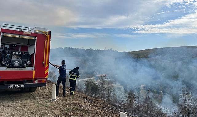 Samsun'da ormanlık alanda yangın