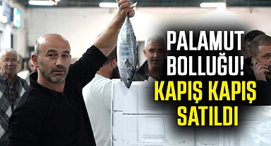 Samsun'da palamut bolluğu! Kapış kapış satıldı