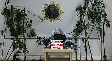 Samsun'da uyuşturucu operasyonunda  940 gram esrar ele geçirildi