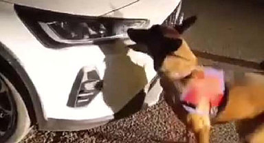 Samsun'un Bafra ilçesinde araçta uyuşturucu ele geçirildi