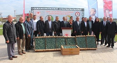 Samsun'un Bafra Ovası'nda çiftçilere brokoli desteği