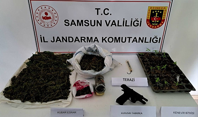 Samsun'da jandarmadan uyuşturucu operasyonu: 1 kilo 471 gram skunk ele geçirildi
