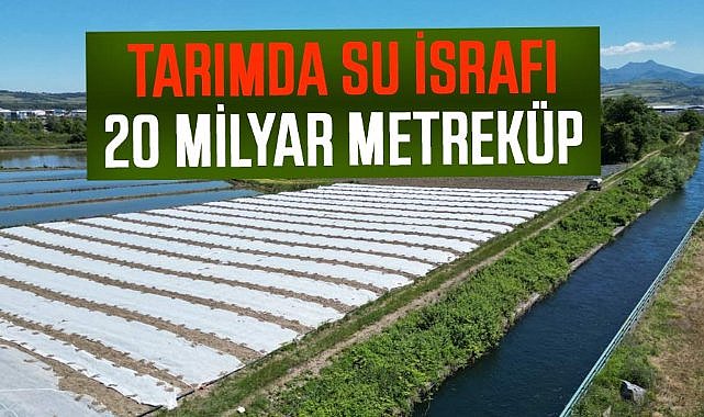 Tarımda su israfı! 20 milyar metreküp su kaybı