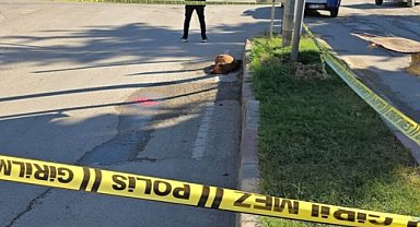 Trafik lambasındaki elektrik kaçağı yüzünden akıma kapılarak öldü