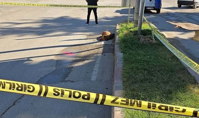 Trafik lambasındaki elektrik kaçağı yüzünden akıma kapılarak öldü