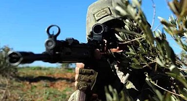 TSK 17 teröristti etkisiz hale getirdi