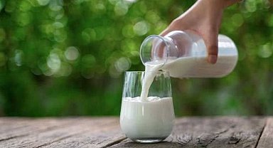 Türk süt devi iflas etti! Konkordato ilan etti