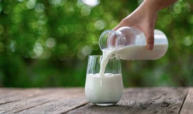 Türk süt devi iflas etti! Konkordato ilan etti