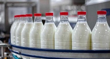 Türkiye'nin dev süt üreticisi konkordato ilan etti