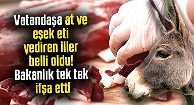 Vatandaşa at ve eşek eti yediren iller belli oldu! Bakanlık tek tek ifşa etti