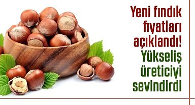 Yeni fındık fiyatları açıklandı! Fındık fiyatlarında yükseliş üreticiyi sevindirdi
