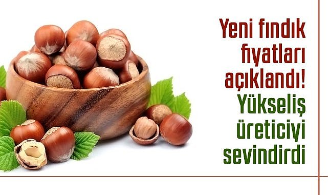 Yeni fındık fiyatları açıklandı! Fındık fiyatlarında yükseliş üreticiyi sevindirdi
