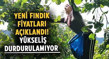 Yeni fındık fiyatları açıklandı! Yükseliş durdurulamıyor