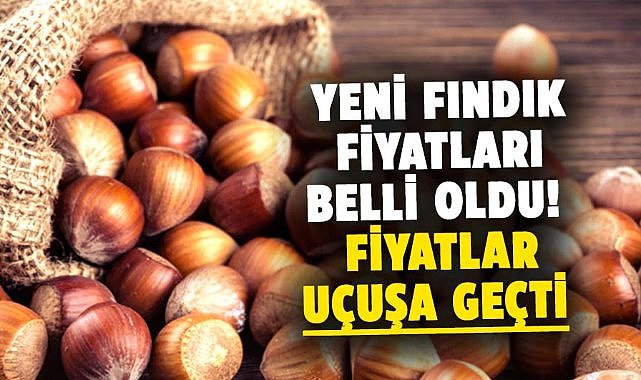 Yeni fındık fiyatları belli oldu! Fındık fiyatları uçuşa geçti