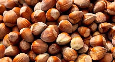 1 Kasım fındık fiyatları ne kadar?