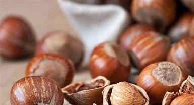 10 Kasım fındık fiyatları ne kadar?