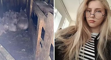 17 yaşındaki genç kızı domuzlar parçalayarak öldürdü! 